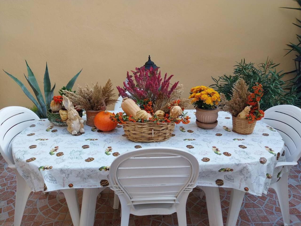 Il Giardino Di Marimar * Rom