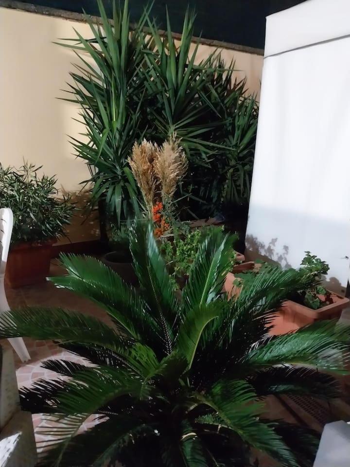 Il Giardino Di Marimar Appartamento *